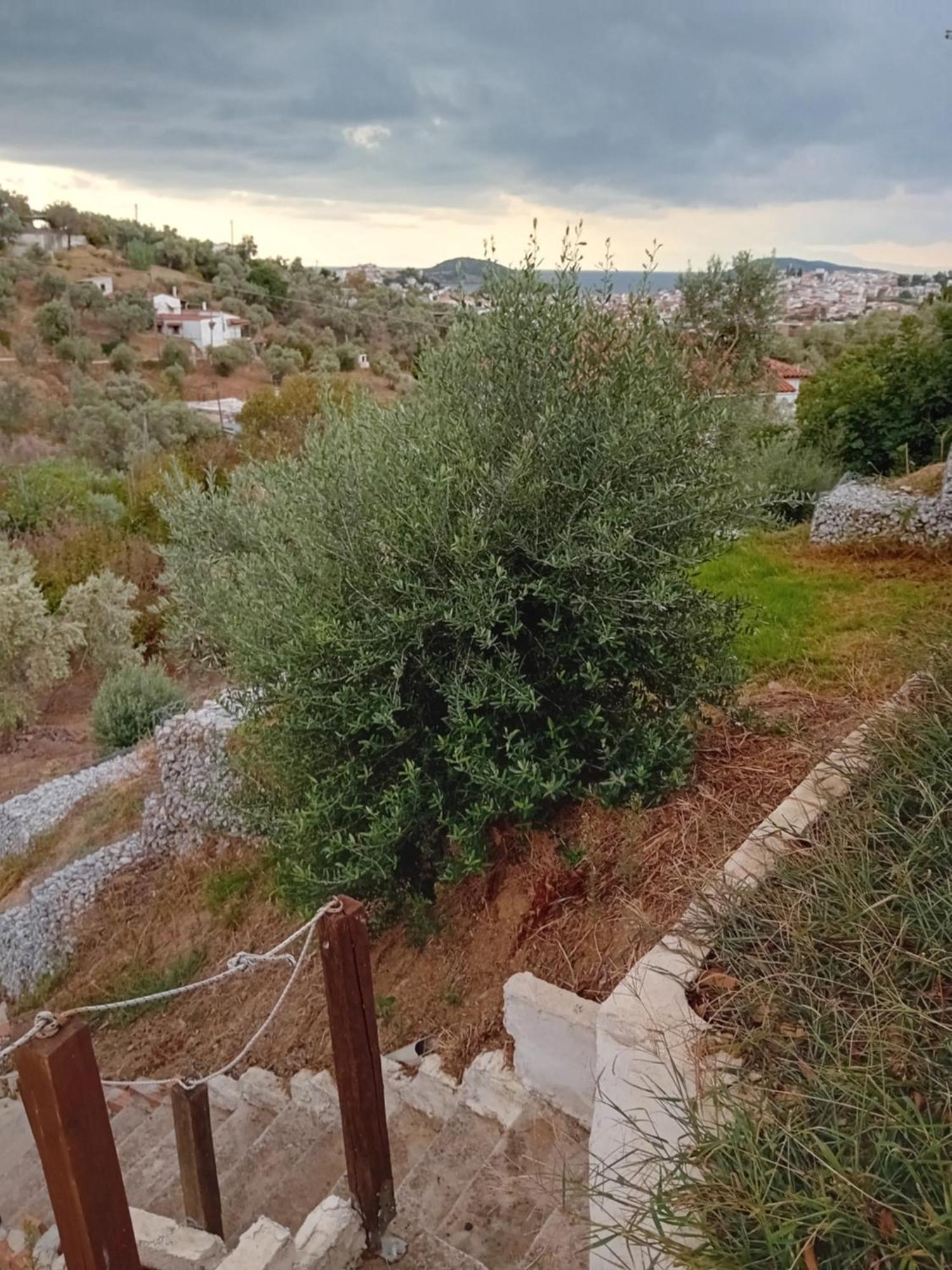 Villa Krini Skiathos Town Exterior photo