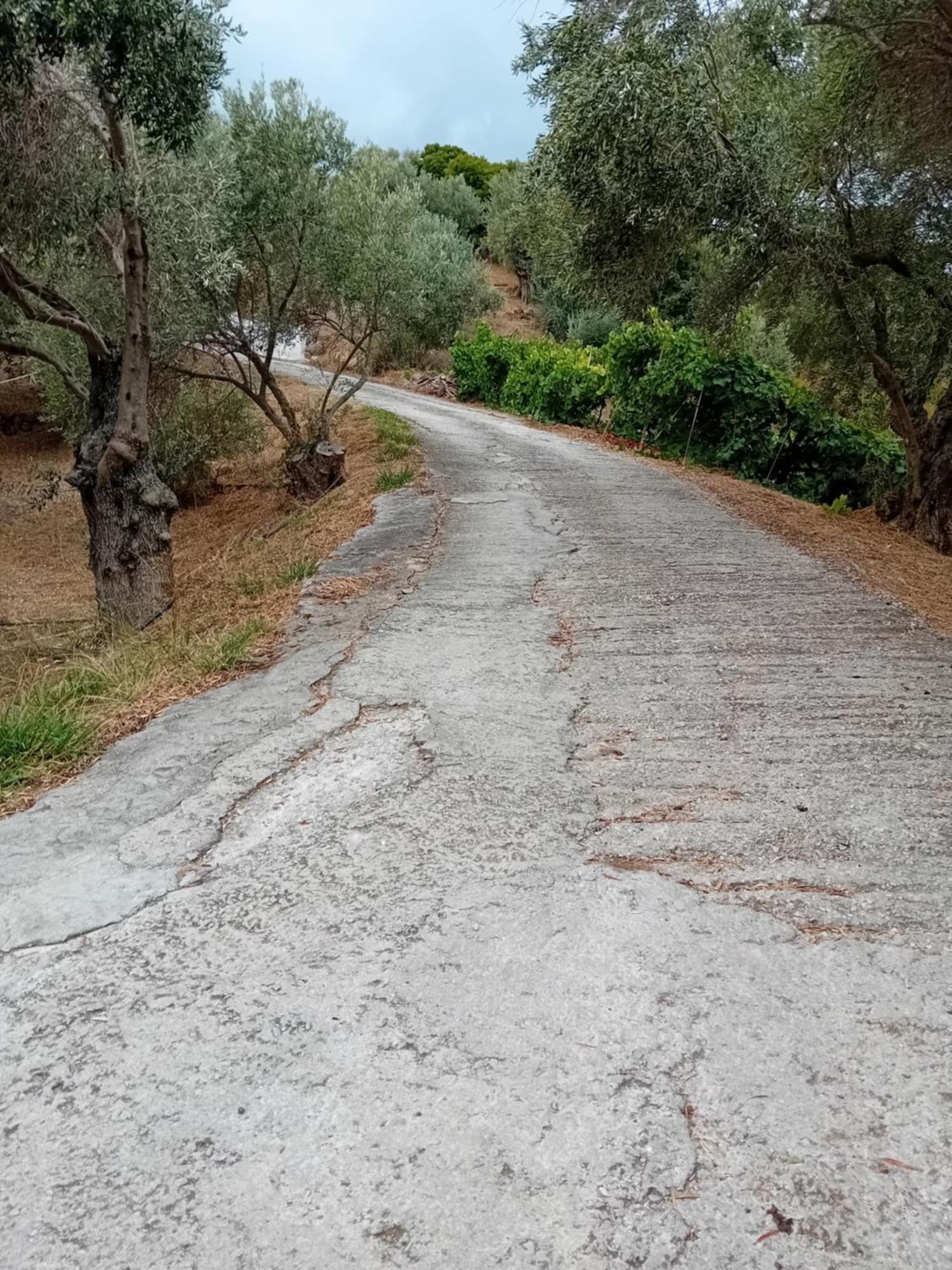 Villa Krini Skiathos Town Exterior photo